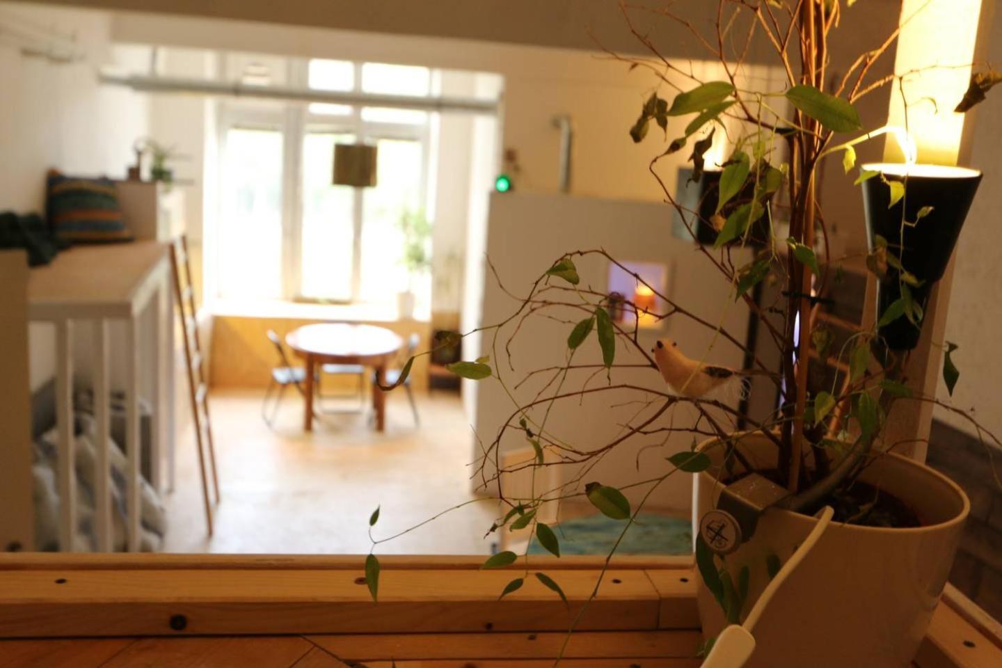Einzigartiges 140Qm Loft - Party Ist Erlaubt! Apartment Berlin Exterior foto